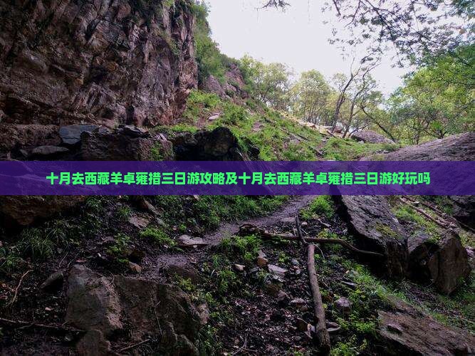 十月去西藏羊卓雍措三日游