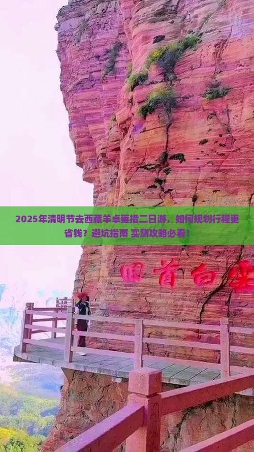 清明节去西藏羊卓雍措二日游