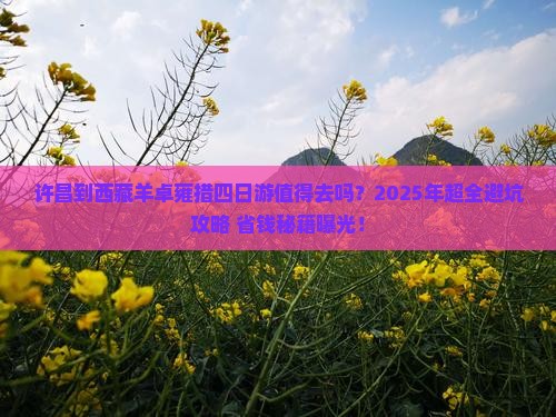 许昌到西藏羊卓雍措四日游