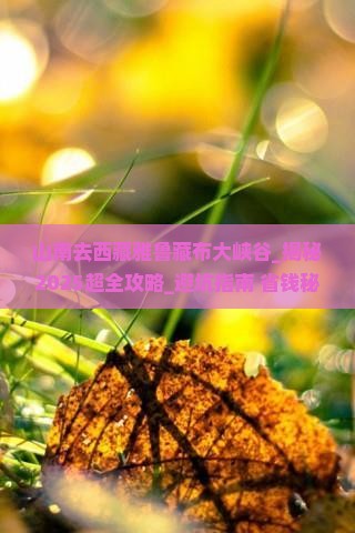 山南去西藏雅鲁藏布大峡谷大型旅游团
