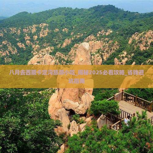 八月去西藏卡定沟旅游小吃