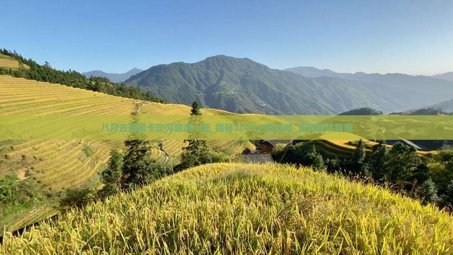 八月去西藏卡定沟旅游小吃