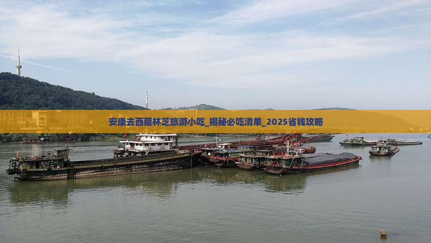 安康去西藏林芝旅游小吃