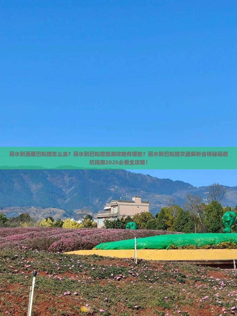 丽水到西藏巴松措景点