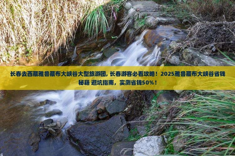 长春去西藏雅鲁藏布大峡谷大型旅游团