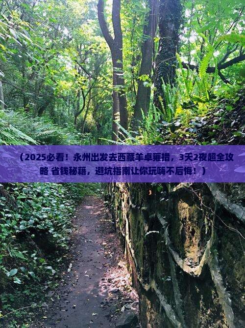 永州到西藏羊卓雍措景点