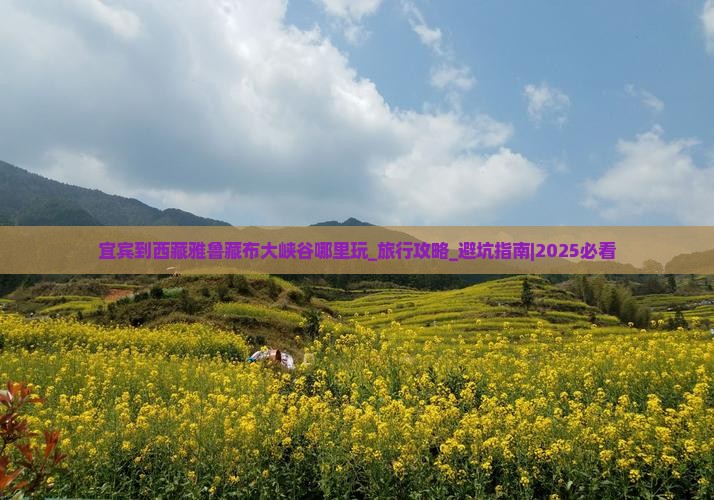 宜宾到西藏雅鲁藏布大峡谷哪里玩