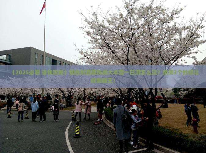 烟台到西藏珠峰大本营一日