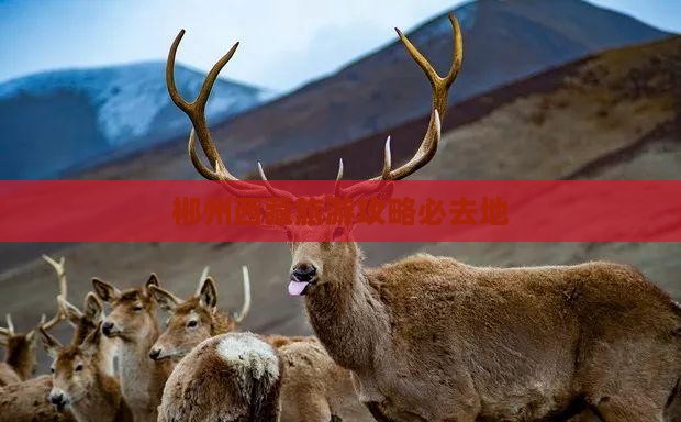 郴州去西藏必去地