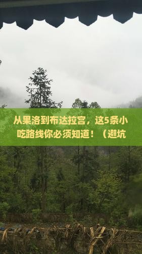 果洛去西藏布达拉宫旅游小吃