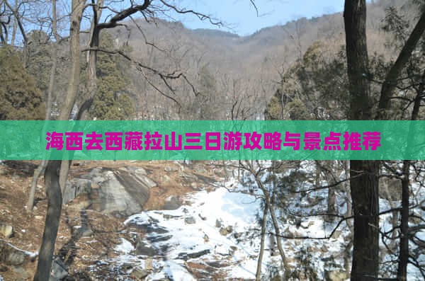 海西去西藏色季拉山三日游