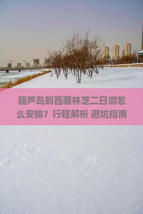 葫芦岛到西藏林芝二日游 葫芦岛到西藏林芝二日游