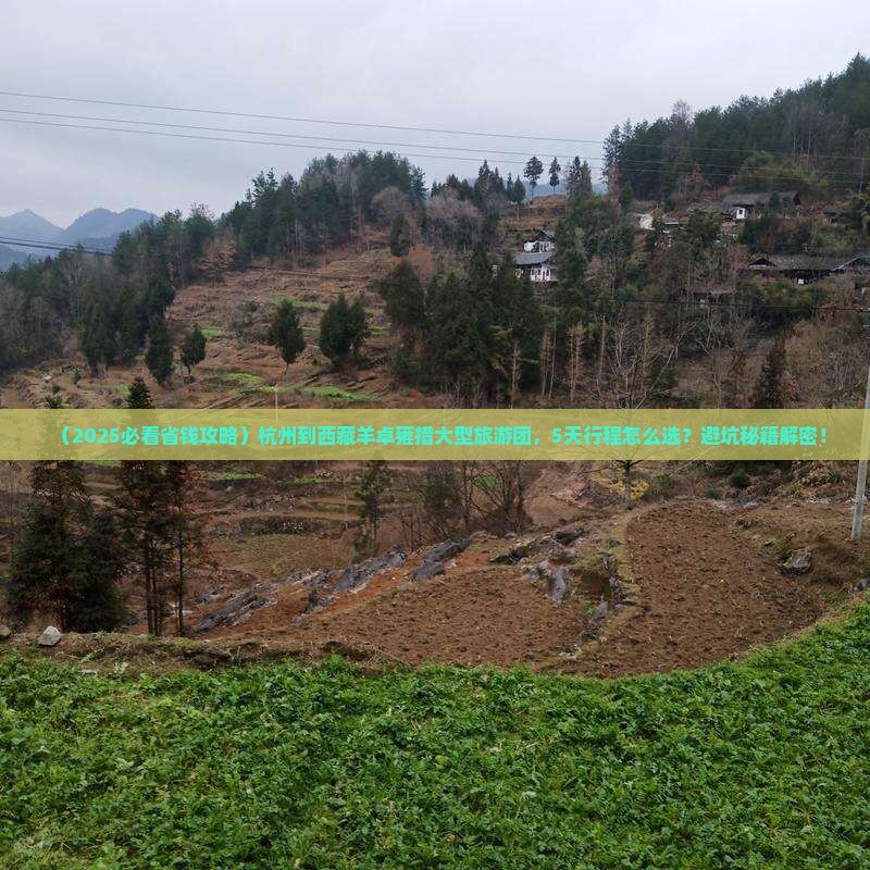 杭州到西藏羊卓雍措大型旅游团
