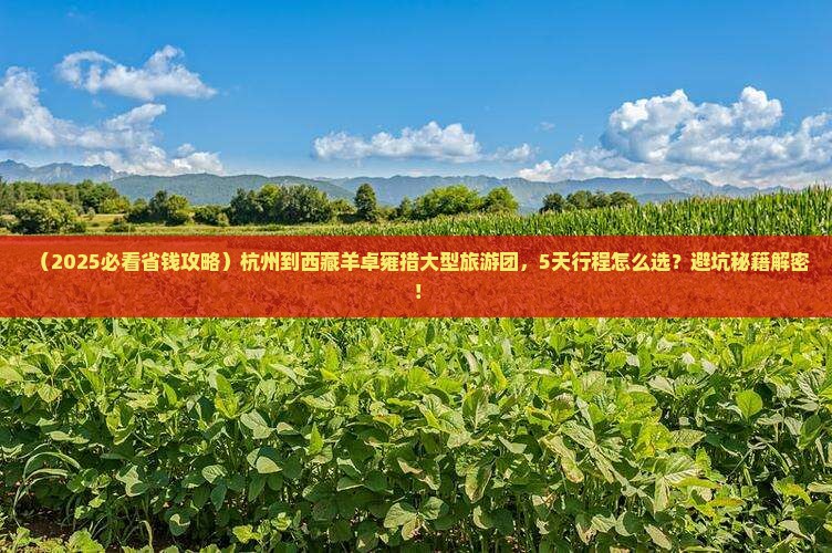杭州到西藏羊卓雍措大型旅游团