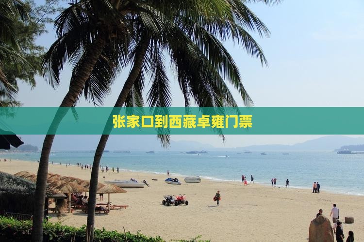 张家口到西藏羊卓雍措门票