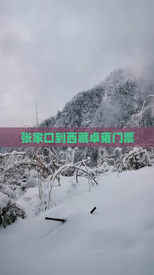张家口到西藏羊卓雍措门票