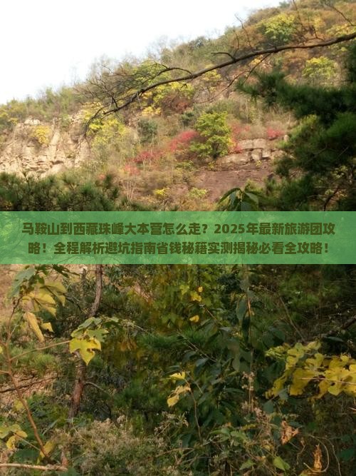 马鞍山到西藏珠峰大本营大型旅游团