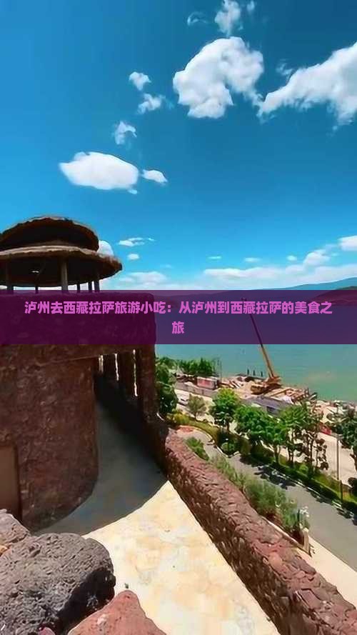 泸州去西藏拉萨旅游小吃