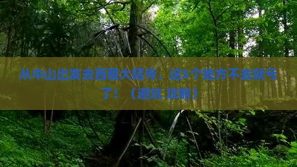 中山去西藏大昭寺必去地