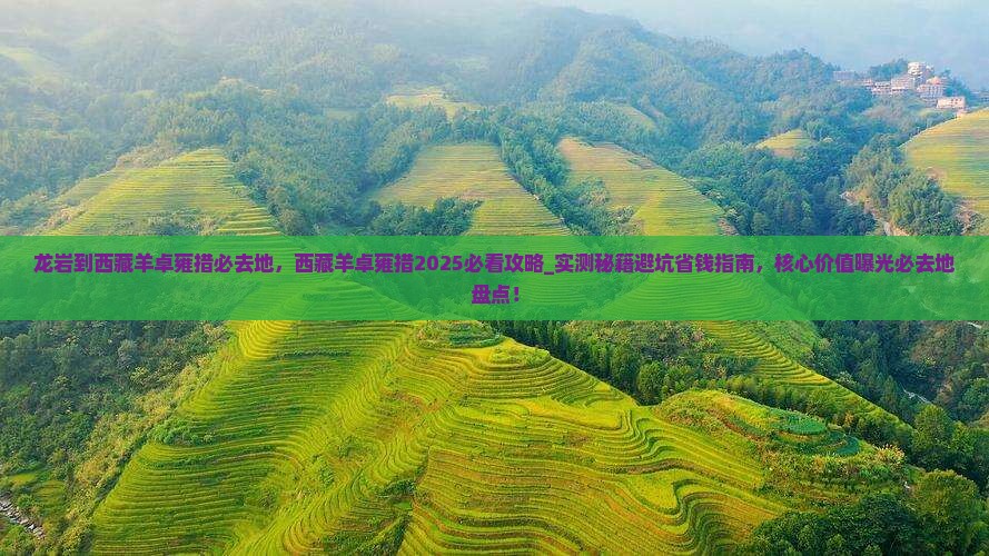龙岩到西藏羊卓雍措必去地