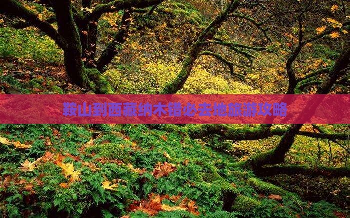 鞍山到西藏纳木措必去地