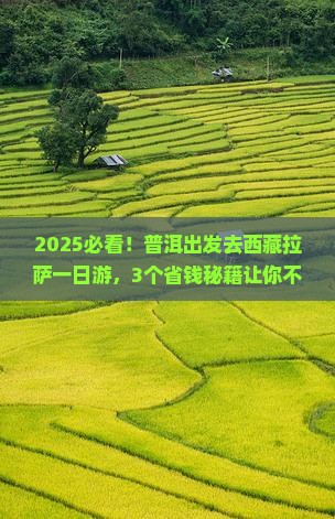 普洱去西藏拉萨一日