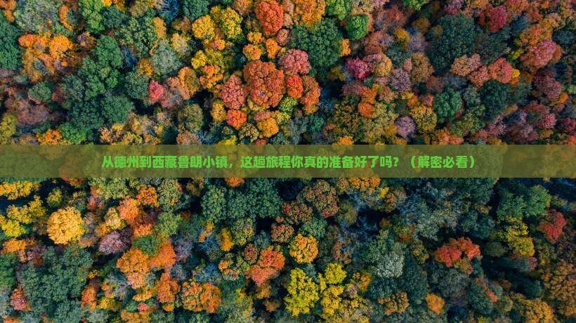 德州去西藏鲁朗小镇攻略