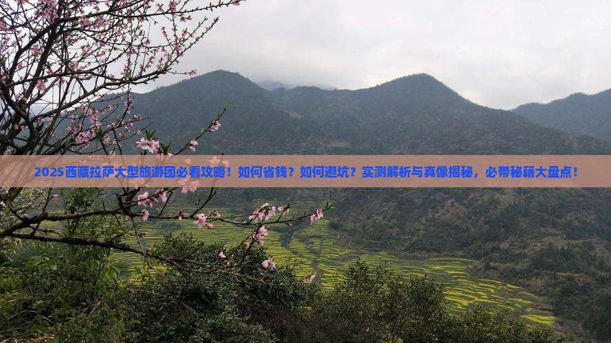 春天到西藏拉萨大型旅游团