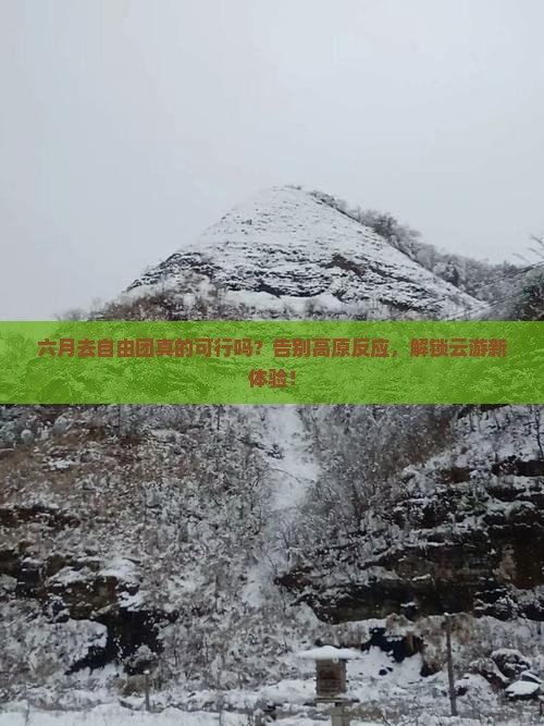 六月去西藏自由团
