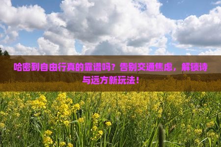 哈密到西藏自由行