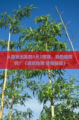 安康到西藏大型旅游团