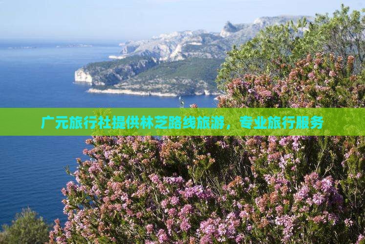 广元去西藏林芝旅行社 广元去西藏林芝旅行社