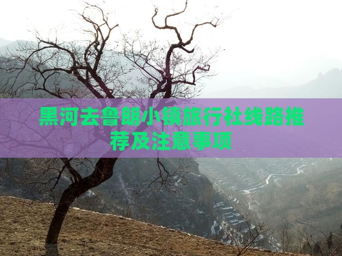黑河去西藏鲁朗小镇旅行社
