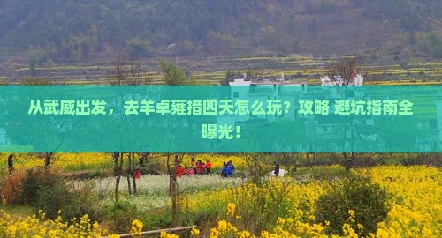 武威去西藏羊卓雍措四日游