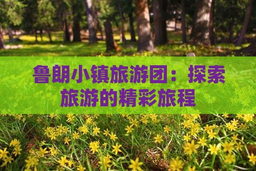 醴陵去西藏鲁朗小镇大型旅游团