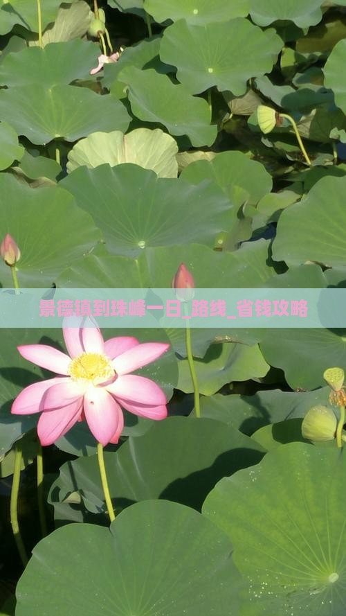 景德镇到西藏珠峰大本营一日