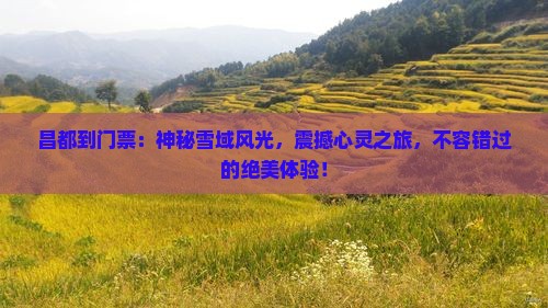 昌都到西藏门票