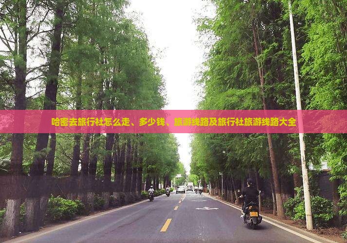 哈密去西藏旅行社