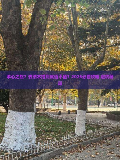 孝感到西藏纳木措旅行社