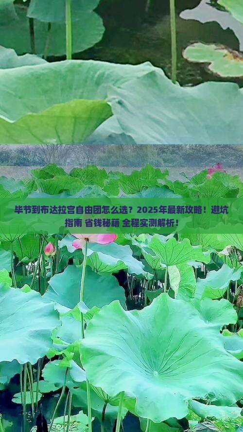 毕节到西藏布达拉宫自由团