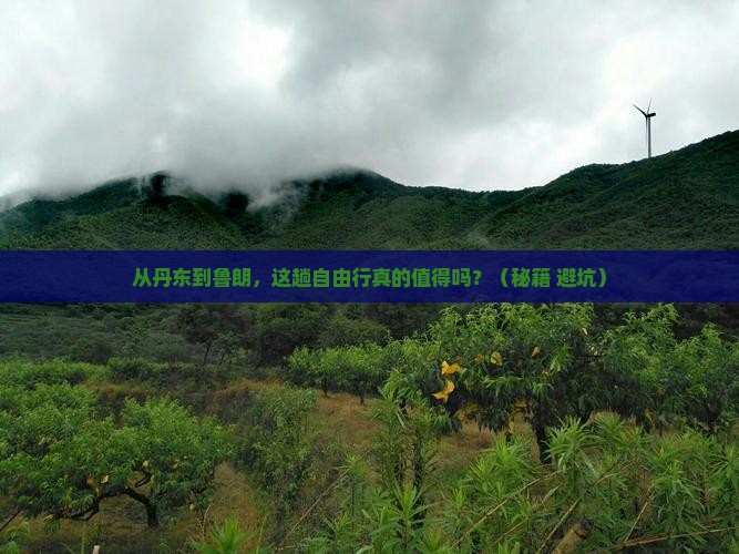 丹东到西藏鲁朗小镇自由行