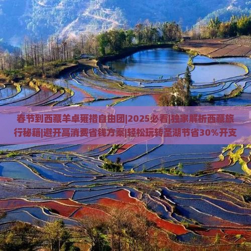 春节到西藏羊卓雍措自由团