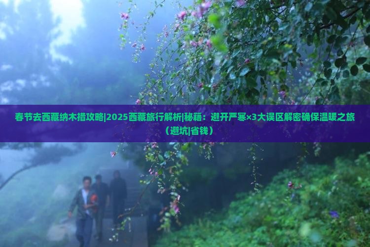 春节去西藏纳木措攻略