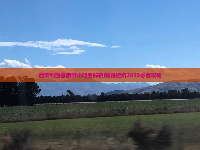西安到西藏旅游小吃