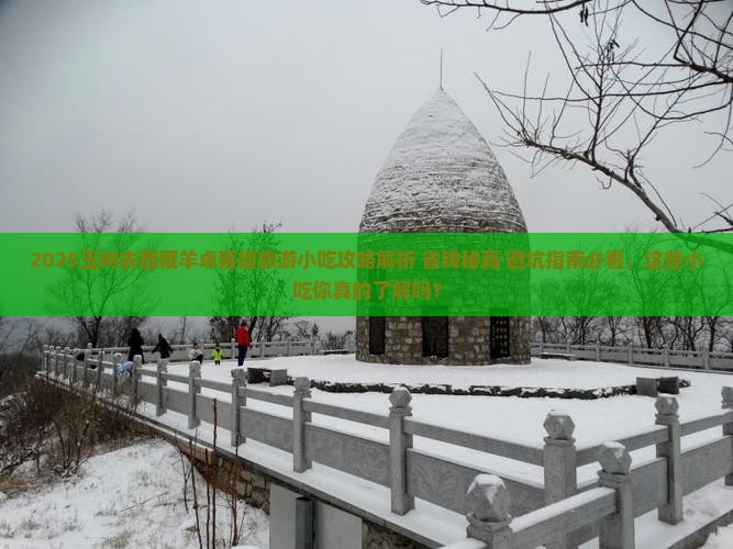 玉树去西藏羊卓雍措旅游小吃