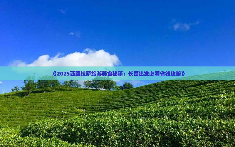 长葛到西藏拉萨旅游小吃