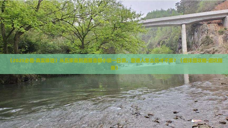 五家渠去西藏鲁朗小镇一日