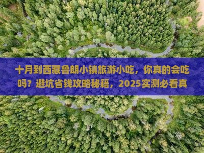 十月到西藏鲁朗小镇旅游小吃