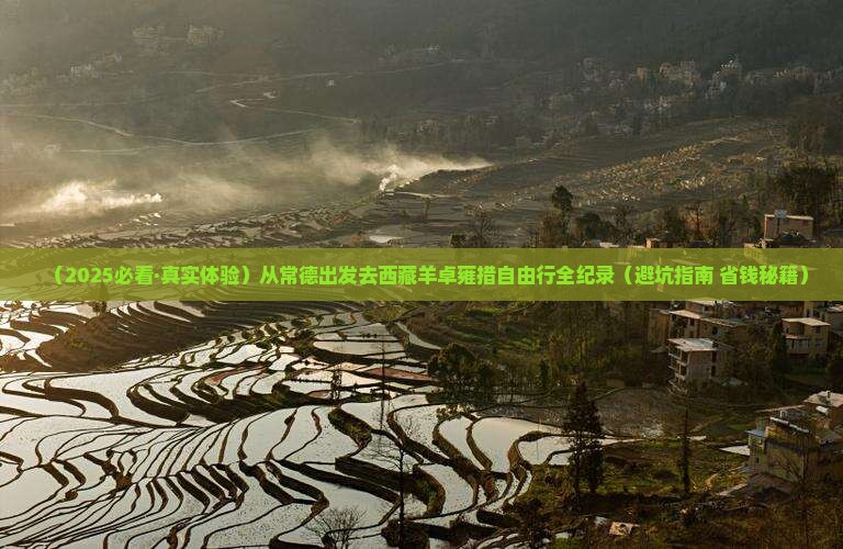 常德到西藏羊卓雍措自由行