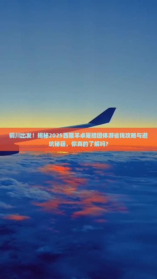 铜川去西藏羊卓雍措团体旅游